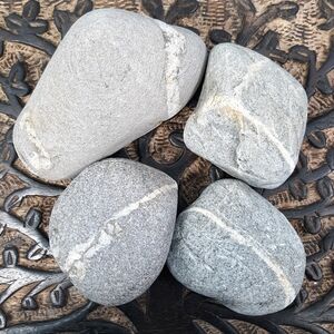 4 Maine Banded Stones East Coast Beach Rocks Raw Mineral Specimens Gray White